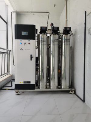 Buen precio 10L/Hr 20L/Hr Sistema comercial de ósmosis inversa Filtración de agua agrícola en línea